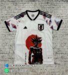 Japón 2024 / 2025. Versión fan