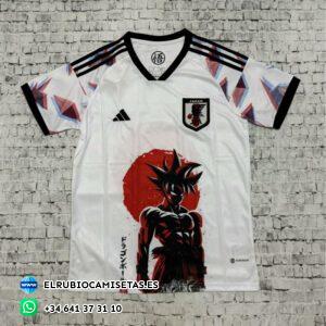 Japón 2024 / 2025. Versión fan