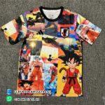 Japón 2024 / 2025. Versión fan