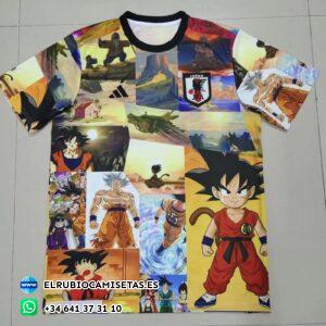 Japón 2024 / 2025. Versión fan