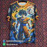 Japón 2024 / 2025. Versión fan