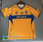 Tigres 2024 / 2025. Versión fan