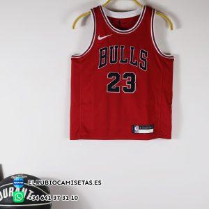 Camiseta Chicago Bulls